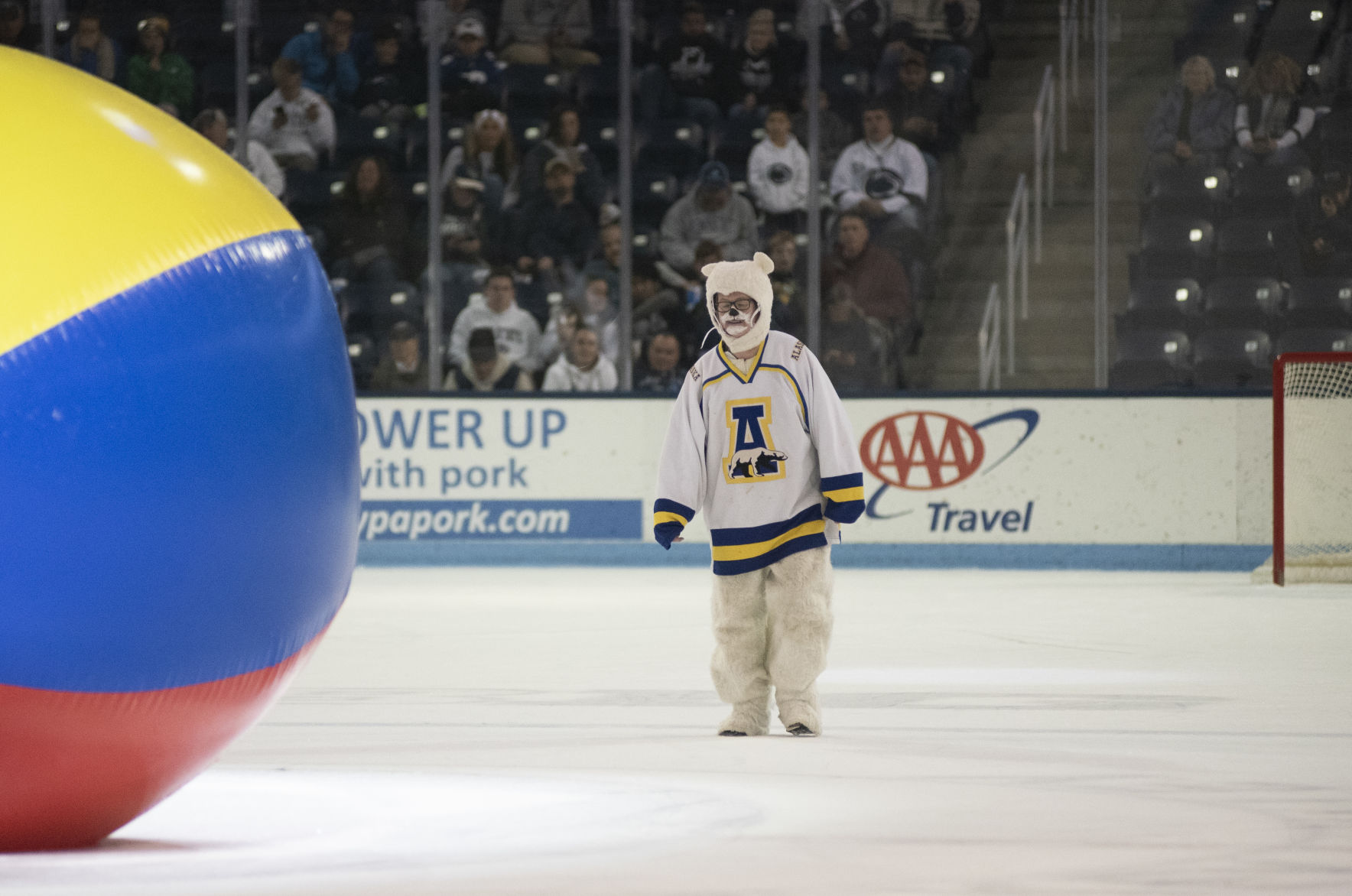 Men's hockey vs. Alaska-Fairbanks, fan